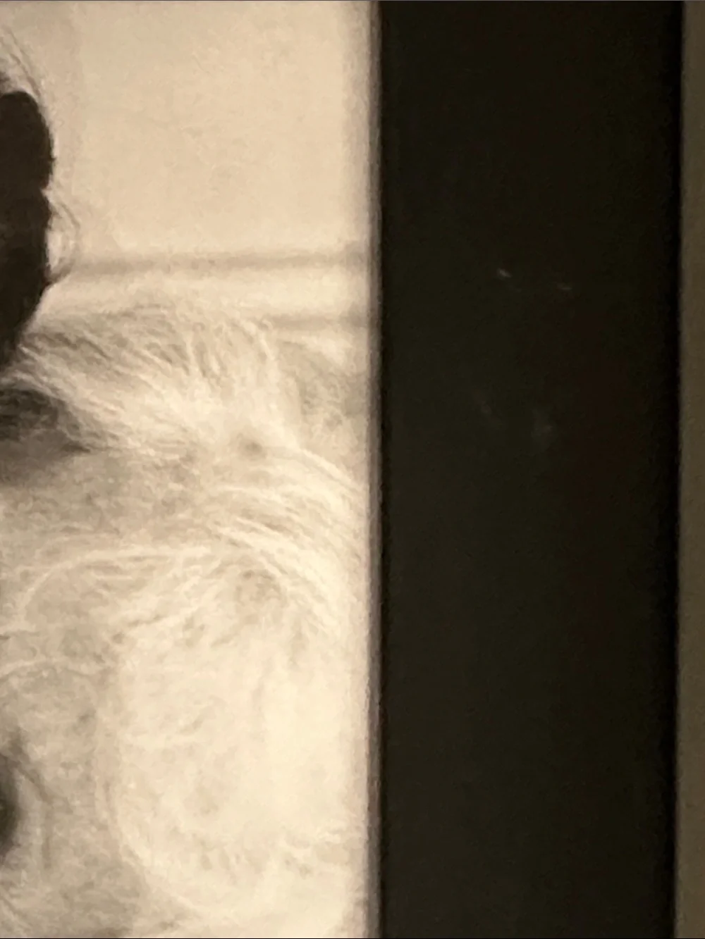 Black Photo Frame with 'Great Grandma' Lettering